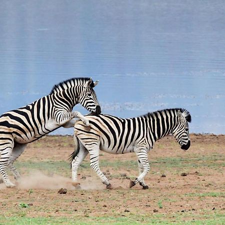 Tented Adventures Пілансберг Екстер'єр фото